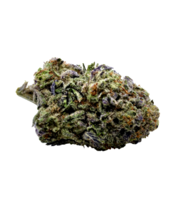 Gelato King