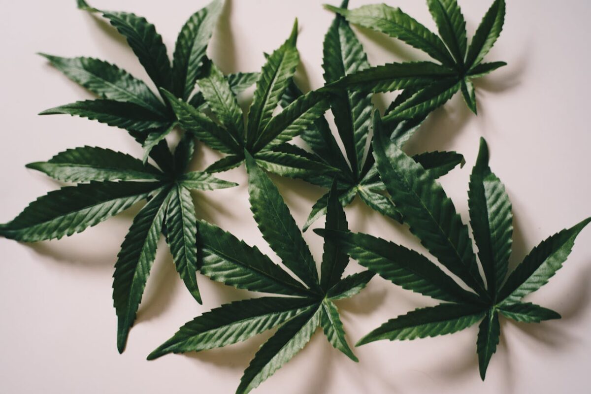 Order Weed Online